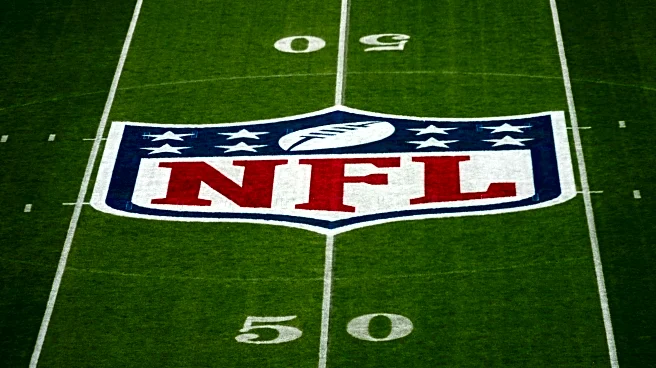 Daily Norseman Staff NFL Picks, Week 11