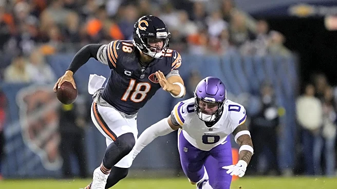 WCG Predicts: Chicago Bears vs Minnesota Vikings