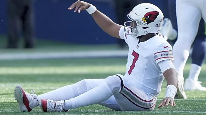 Arizona Cardinals fans don’t see many wins in the final eight games of 2025