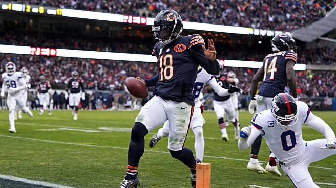 WCG Sunday Livestream: NFL Week 11 – Chicago Bears vs Minnesota Vikings