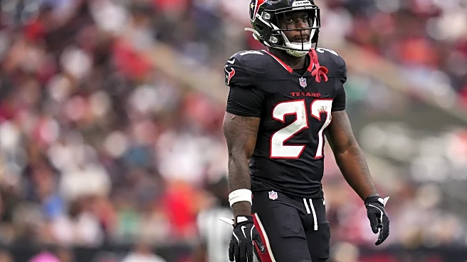 NFL Week 11 Open Thread: Texans at BESFs