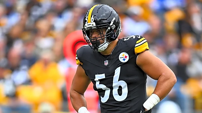 Steelers, Bengals announce Week 11 inactives