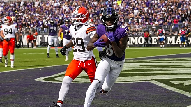 Baltimore Ravens vs. Cleveland Browns Week 11: Game Thread