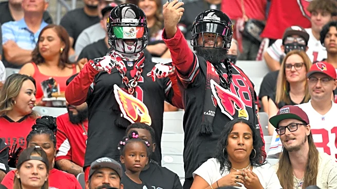 Cardinals-Niners first half open thread