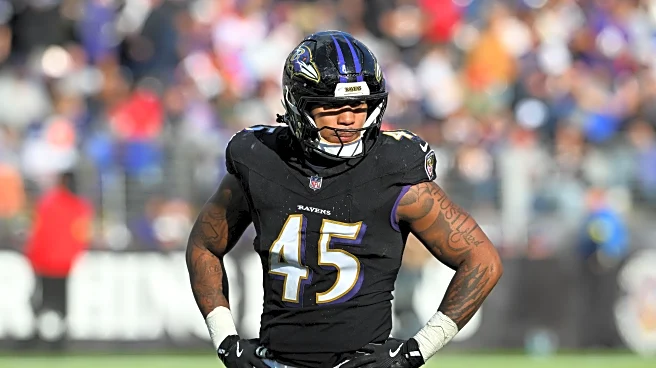 Baltimore Ravens post Week 11 inactives vs. Browns: Mike Green to play