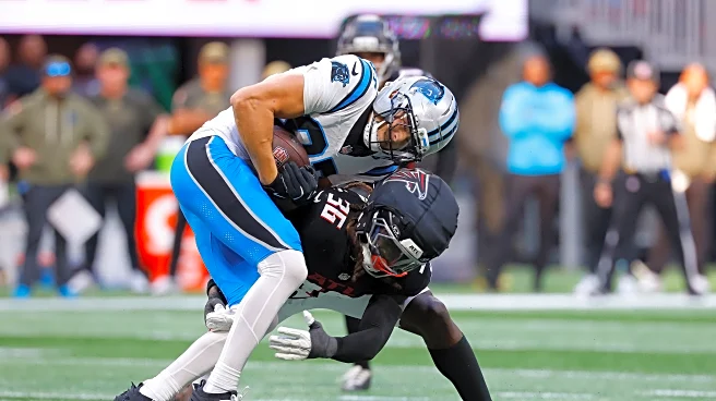 Falcons – Panthers Week 11 instant recap