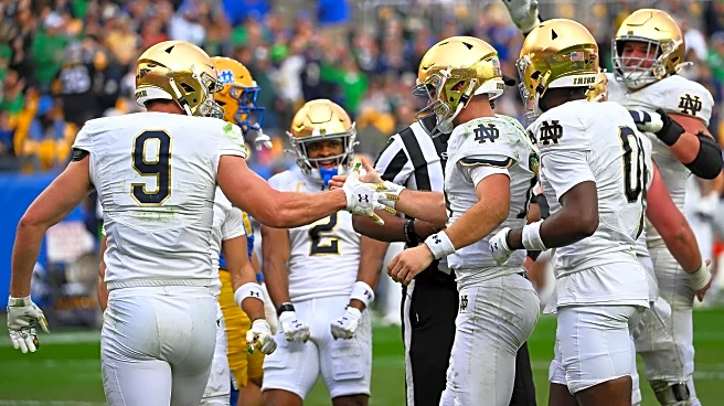 Notre Dame Football Stats: Week 12 Review of Win over Pitt