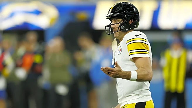 NFL Week 12 Odds: Chicago Bears favored over the Pittsburgh Steelers