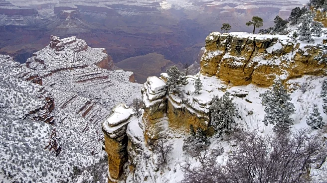 Snake Bytes, 11/17: Winter is coming. Or going.