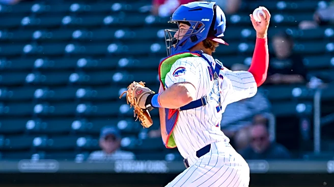 Cubs in the AFL: Mesa Solar Sox final