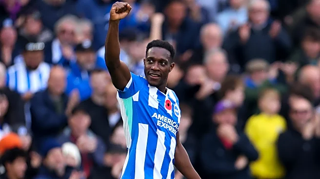 EPL GW12 FPL Differential Picks