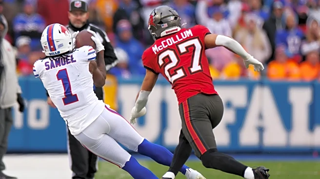 Who should catch passes for the Buffalo Bills the rest of the season?