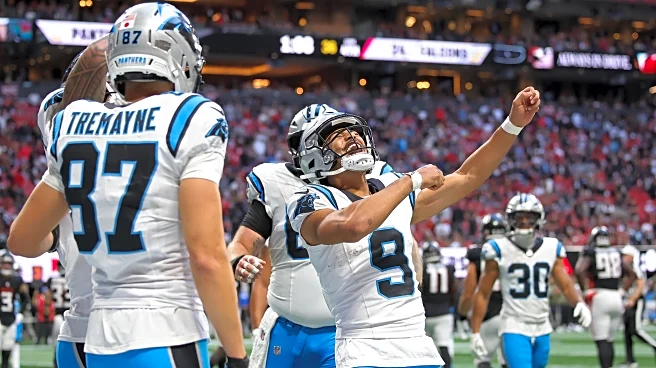 Panthers vs Falcons game review: Who even knows anymore
