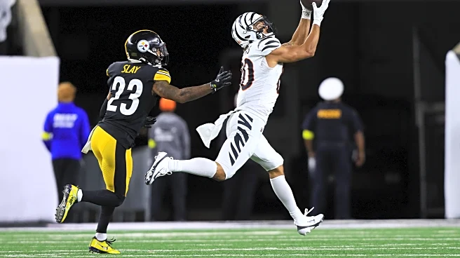 Mike Tomlin making questionable defensive decision ahead of Week 12