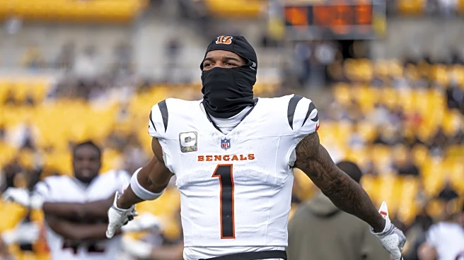 Bengals News (11/19): Mike Tomlin reacts to Chase spitting on Jalen Ramsey