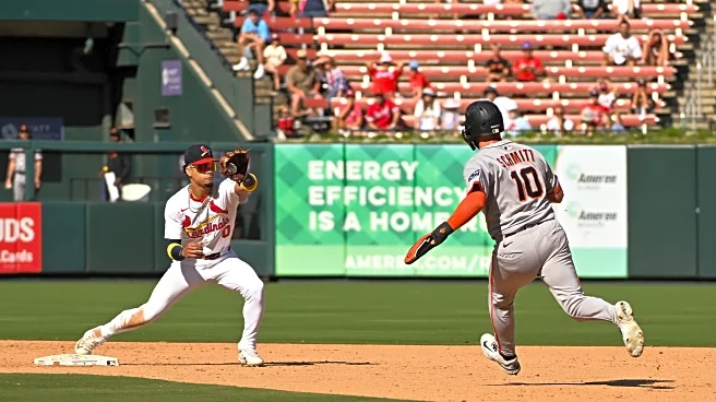 St Louis Cardinals Roster Rundown for mid-November