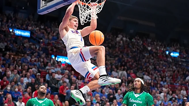 The Daily Mauling 11.19.25