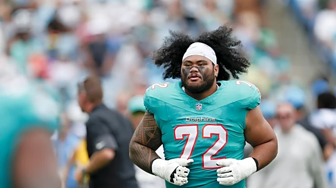 Fins Up, Fins Down | Week Eleven