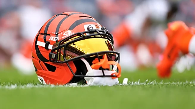 Patriots vs. Bengals preview: Week 12 stats, injuries, players to watch