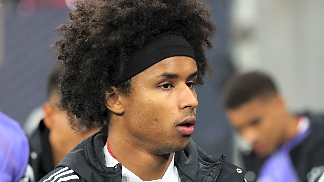 The Daily Bee: Karim Adeyemi Tipped to Move On