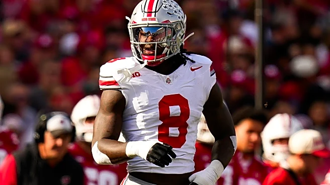 2026 NFL Draft Prospect Profile: Arvell Reese