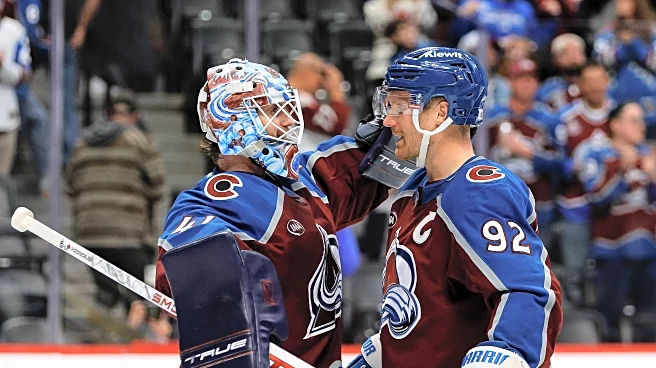 Mile High Pollster: Avalanche fans foresee 55-59 wins this season