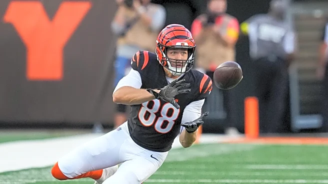 Bengals open practice window for Mike Gesicki and Daijahn Anthony