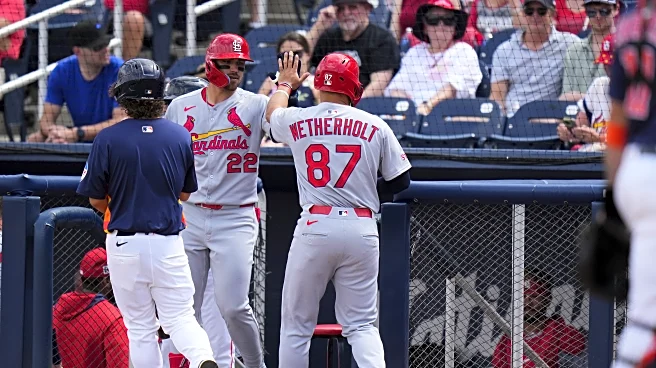 Two Rising Cardinals Prospects Win Top Minor League Awards