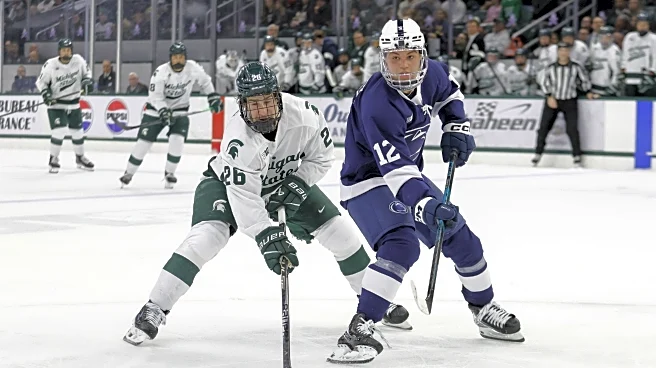 Hockey Film Room: Bottom Six Energy