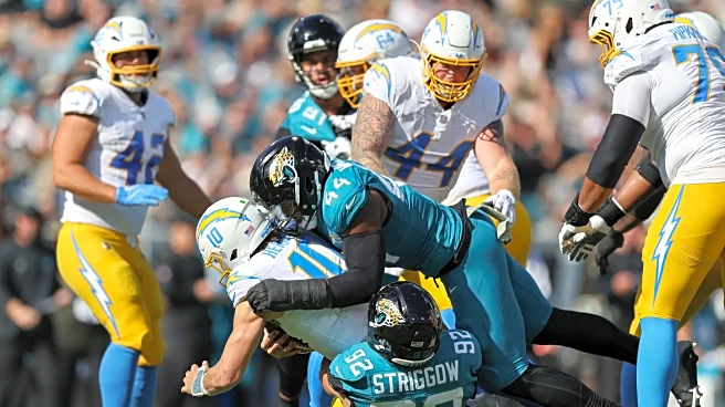 Minnesota Golden Gophers in the NFL: Week 11