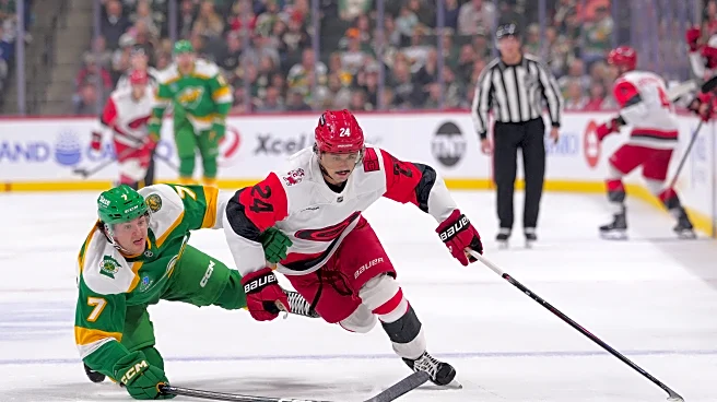 Hurricanes rally late, fall in SO to Wild, 4-3