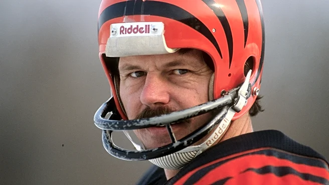 Bengals News (11/20): Ken Anderson makes Pro Football Hall of Fame Semifinalists