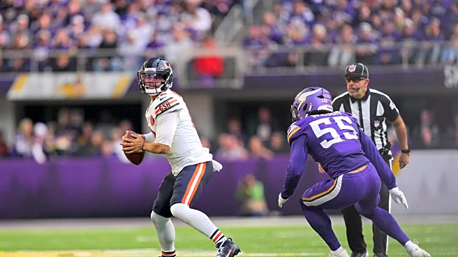 The Bear’s Den, November 20, 2025