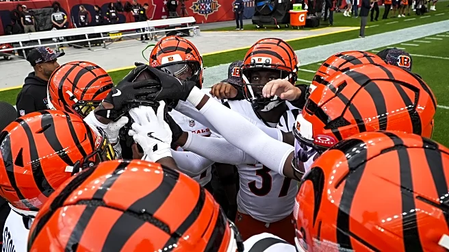 5 general manager options for the Bengals