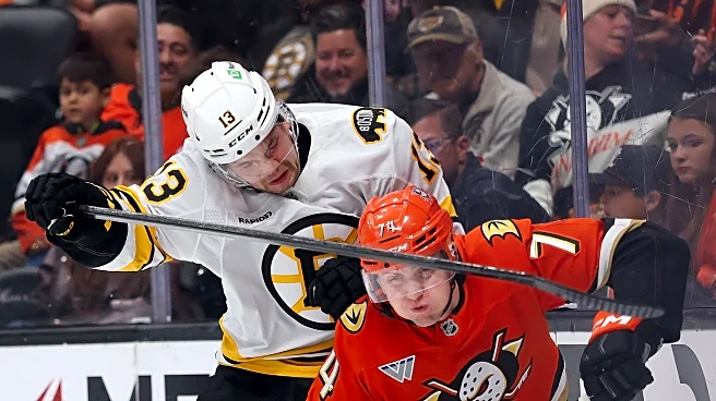 RECAP: B’s can’t complete comeback against Anaheim