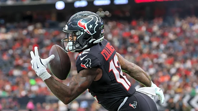 Houston Texans have enough talent to make trouble for the Buffalo Bills