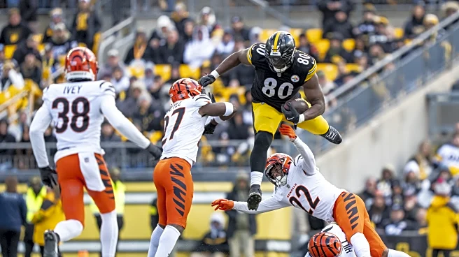 Dawgs in the NFL: Oh you Darnell Washington!