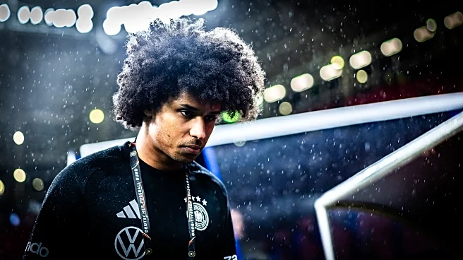 The Daily Bee: Karim Adeyemi Issues Statement About Weapons Conviction