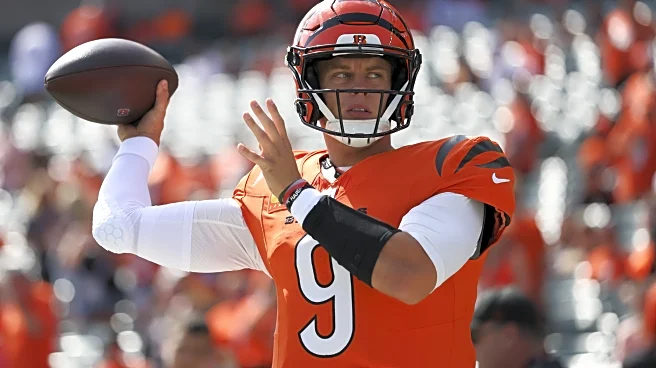 Patriots preparing for both Bengals QBs ahead of NFL Week 12