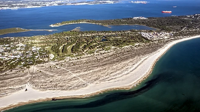 The Daily Hilario: Friday