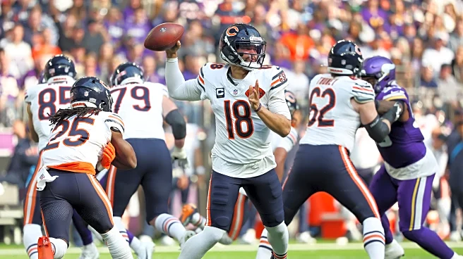 Steelers vs. Bears: 5 questions with the enemy ahead of Week 12