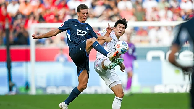 Should Bayern Munich acquire Hoffenheim’s Fisnick Asllani? If so, for what role?