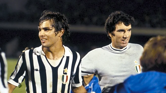 The Daily Zona Mista: Friday, Nov. 21