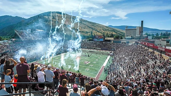 How To Football: Week 13