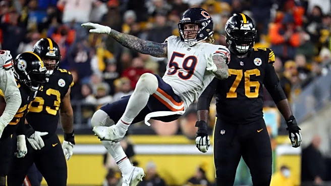 Bears vs. Steelers: TV schedule, game previews, odds, and more