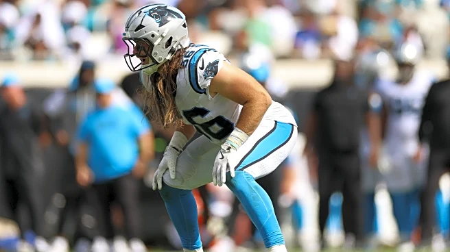 Panthers Injury Report & Transactions – Week 12