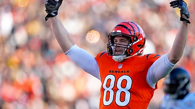 Bengals News (11/23) and Pregame Open Thread