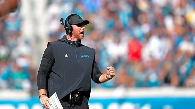 Jaguars vs Cardinals: How to Watch Week 12