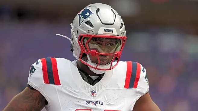 Patriots game day roster: NFL Week 12 vs. Bengals