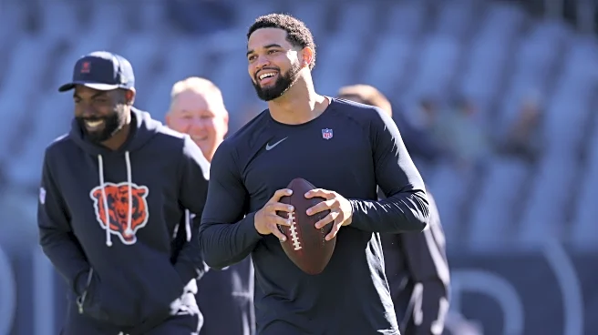 Chicago Bears vs. Pittsburgh Steelers Open Thread